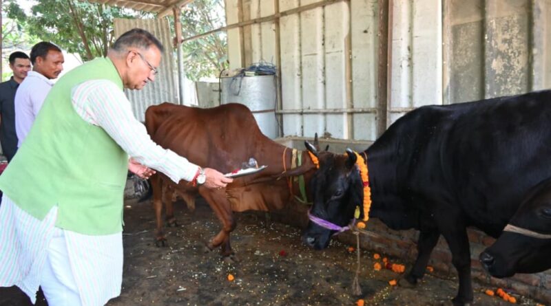कैबिनेट मंत्री गणेश जोशी ने गोवर्धन पूजा के अवसर पर किया गौमाता का पूजन 